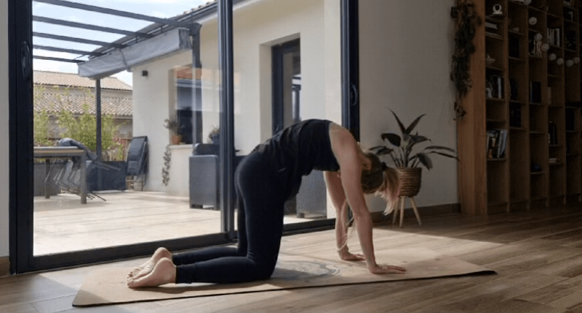 Yoga pour le dos, posture du chat